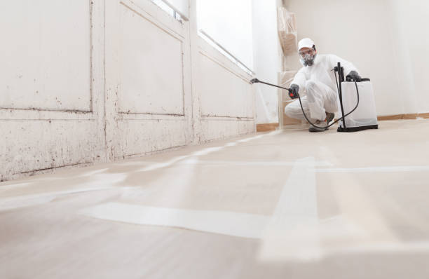 24/7 Emergency Attic Mold Remediation experts in Bellevue, PA